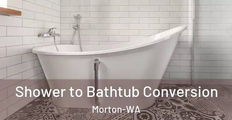 inner Bathroom imggen Shower to Bathtub Conversion Morton-WA