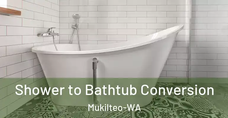 inner Bathroom imggen Shower to Bathtub Conversion Mukilteo-WA
