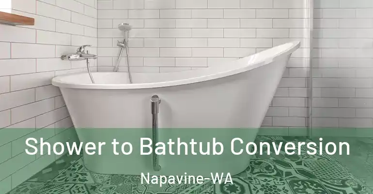 inner Bathroom imggen Shower to Bathtub Conversion Napavine-WA