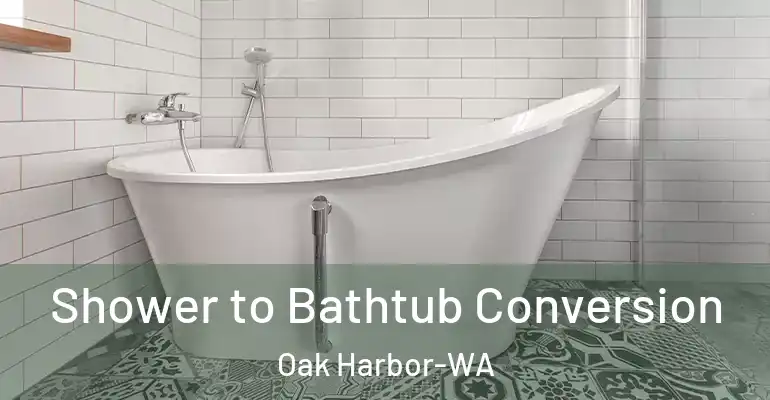 inner Bathroom imggen Shower to Bathtub Conversion Oak Harbor-WA