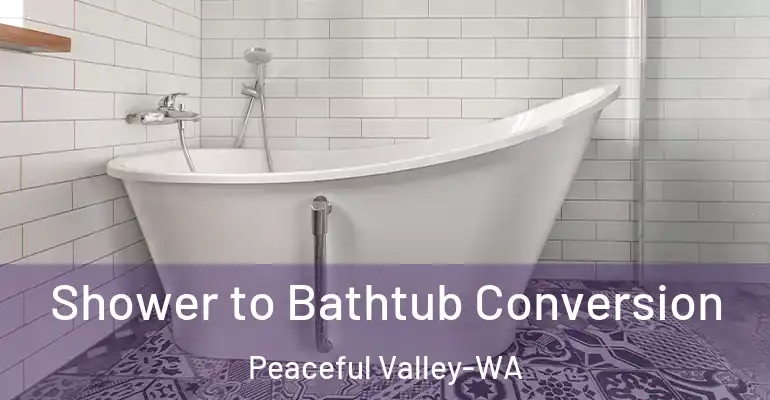 inner Bathroom imggen Shower to Bathtub Conversion Peaceful Valley-WA