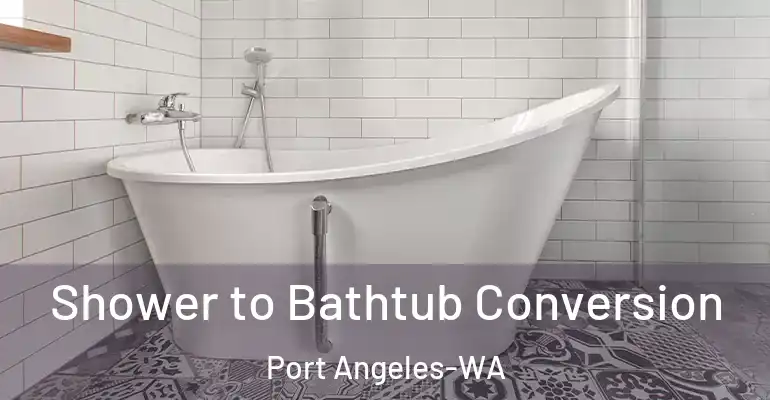 inner Bathroom imggen Shower to Bathtub Conversion Port Angeles-WA