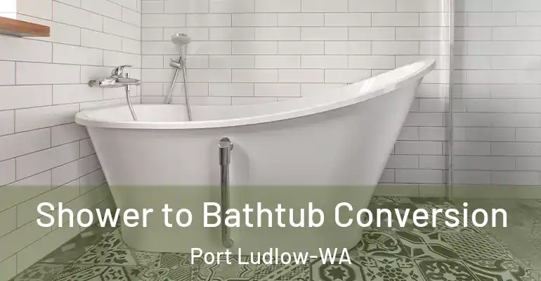 inner Bathroom imggen Shower to Bathtub Conversion Port Ludlow-WA