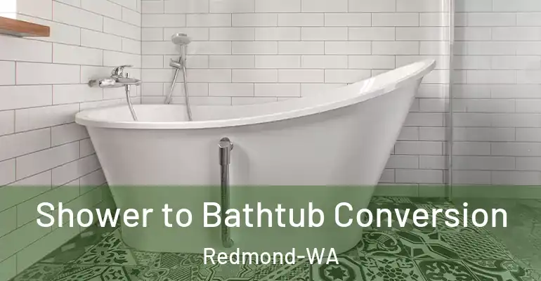 inner Bathroom imggen Shower to Bathtub Conversion Redmond-WA