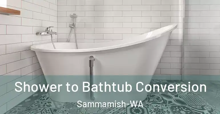 inner Bathroom imggen Shower to Bathtub Conversion Sammamish-WA