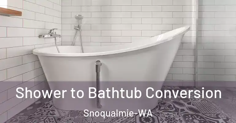 inner Bathroom imggen Shower to Bathtub Conversion Snoqualmie-WA