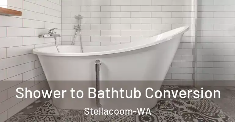 inner Bathroom imggen Shower to Bathtub Conversion Steilacoom-WA