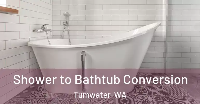 inner Bathroom imggen Shower to Bathtub Conversion Tumwater-WA