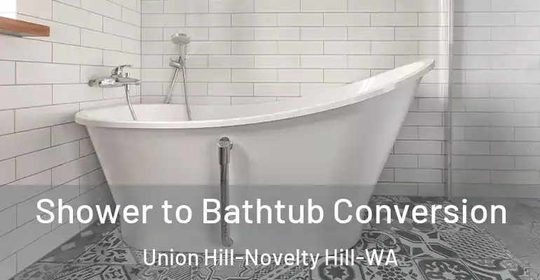 inner Bathroom imggen Shower to Bathtub Conversion Union Hill-Novelty Hill-WA