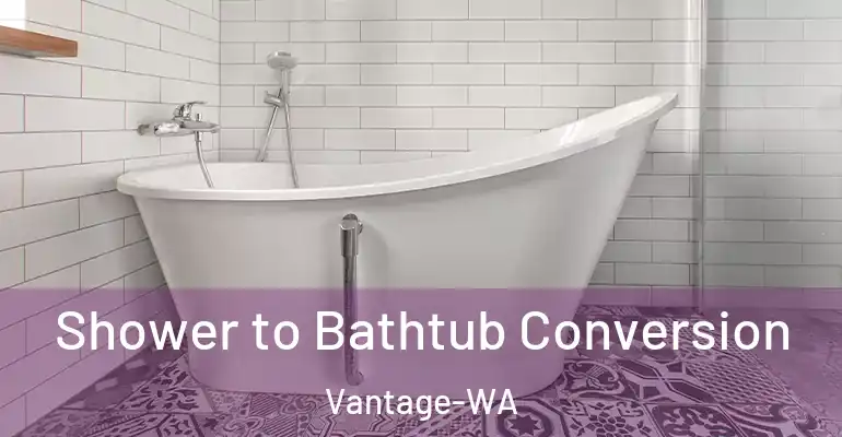 inner Bathroom imggen Shower to Bathtub Conversion Vantage-WA