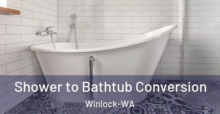 inner Bathroom imggen Shower to Bathtub Conversion Winlock-WA