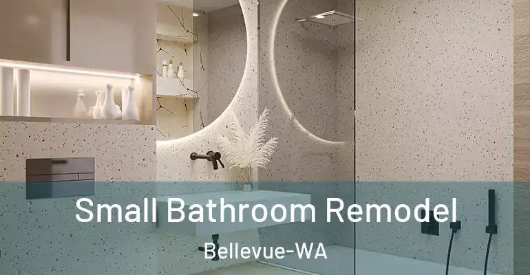inner Bathroom imggen Small Bathroom Remodel Bellevue-WA