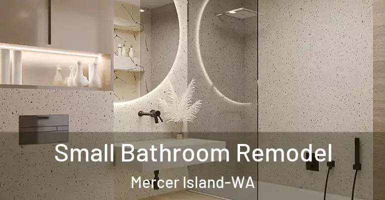 inner Bathroom imggen Small Bathroom Remodel Mercer Island-WA