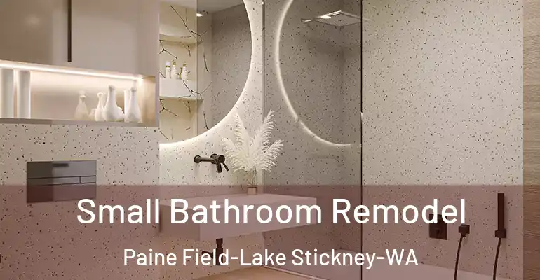 inner Bathroom imggen Small Bathroom Remodel Paine Field-Lake Stickney-WA