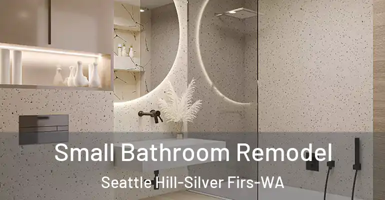 inner Bathroom imggen Small Bathroom Remodel Seattle Hill-Silver Firs-WA