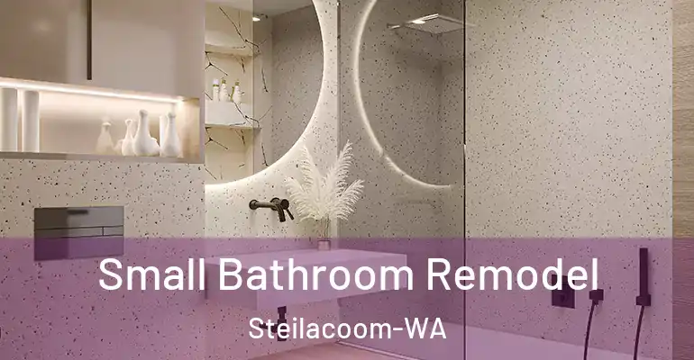 inner Bathroom imggen Small Bathroom Remodel Steilacoom-WA