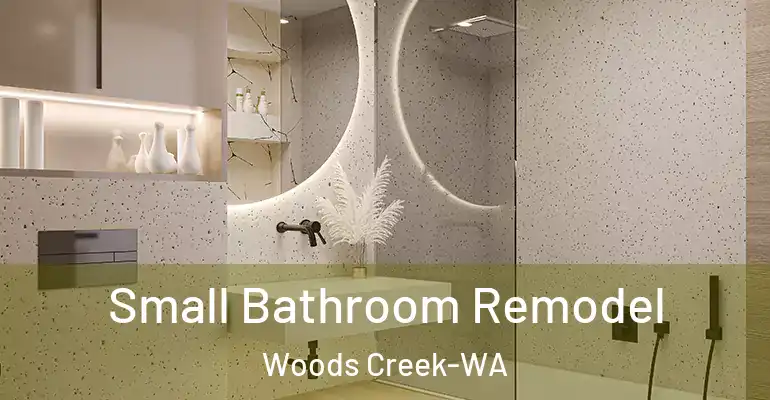 inner Bathroom imggen Small Bathroom Remodel Woods Creek-WA