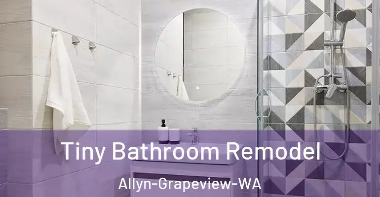 inner Bathroom imggen Tiny Bathroom Remodel Allyn-Grapeview-WA