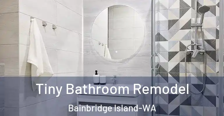 inner Bathroom imggen Tiny Bathroom Remodel Bainbridge Island-WA