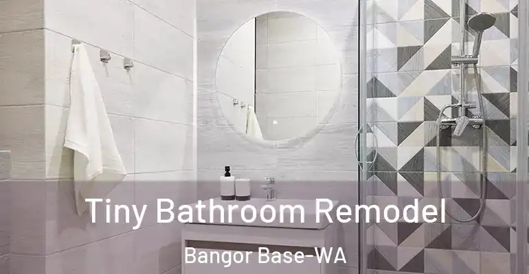inner Bathroom imggen Tiny Bathroom Remodel Bangor Base-WA
