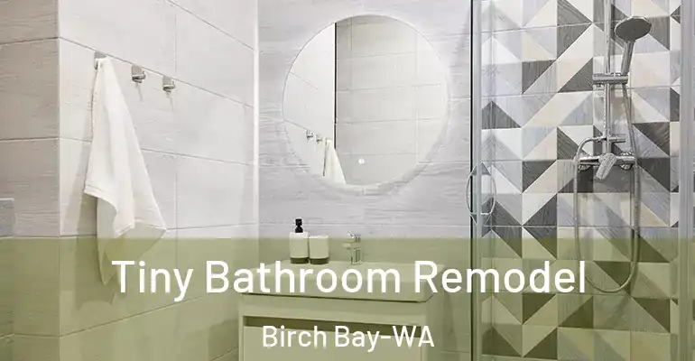 inner Bathroom imggen Tiny Bathroom Remodel Birch Bay-WA