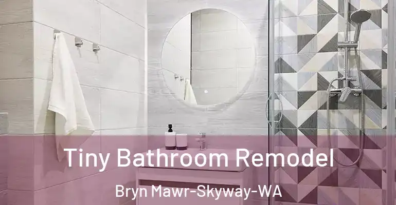 inner Bathroom imggen Tiny Bathroom Remodel Bryn Mawr-Skyway-WA