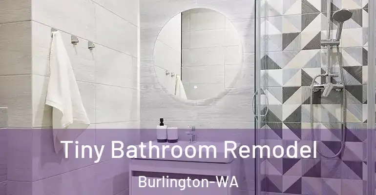 inner Bathroom imggen Tiny Bathroom Remodel Burlington-WA