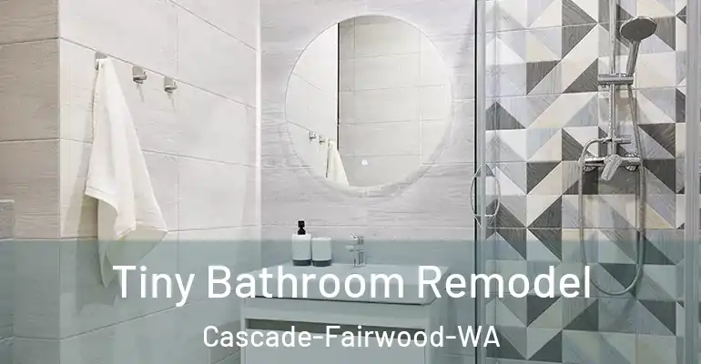 inner Bathroom imggen Tiny Bathroom Remodel Cascade-Fairwood-WA