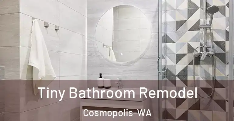 inner Bathroom imggen Tiny Bathroom Remodel Cosmopolis-WA