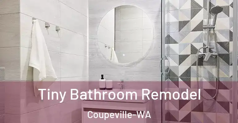inner Bathroom imggen Tiny Bathroom Remodel Coupeville-WA