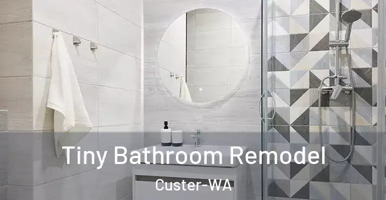 inner Bathroom imggen Tiny Bathroom Remodel Custer-WA