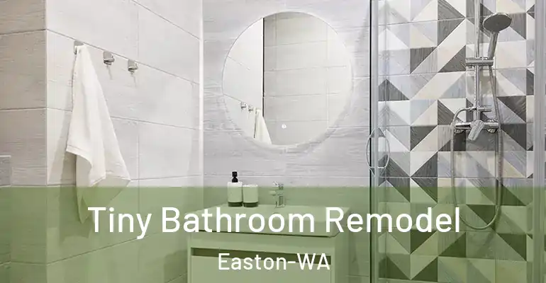 inner Bathroom imggen Tiny Bathroom Remodel Easton-WA