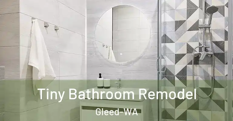 inner Bathroom imggen Tiny Bathroom Remodel Gleed-WA