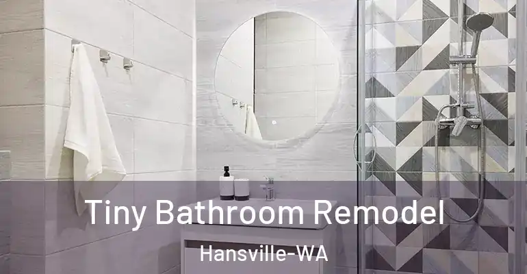 inner Bathroom imggen Tiny Bathroom Remodel Hansville-WA