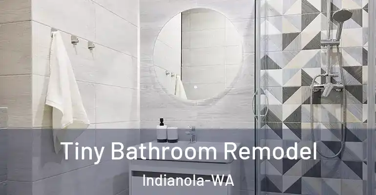 inner Bathroom imggen Tiny Bathroom Remodel Indianola-WA