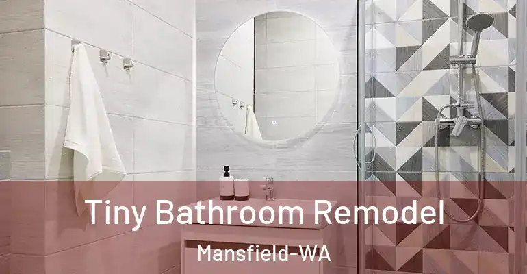 inner Bathroom imggen Tiny Bathroom Remodel Mansfield-WA