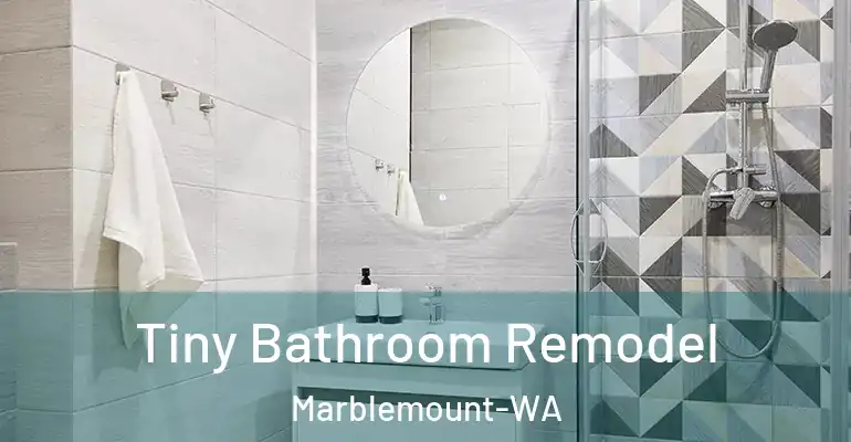 inner Bathroom imggen Tiny Bathroom Remodel Marblemount-WA