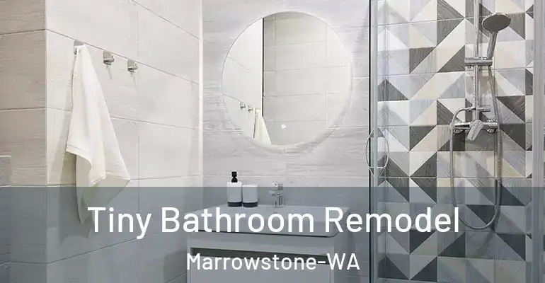 inner Bathroom imggen Tiny Bathroom Remodel Marrowstone-WA