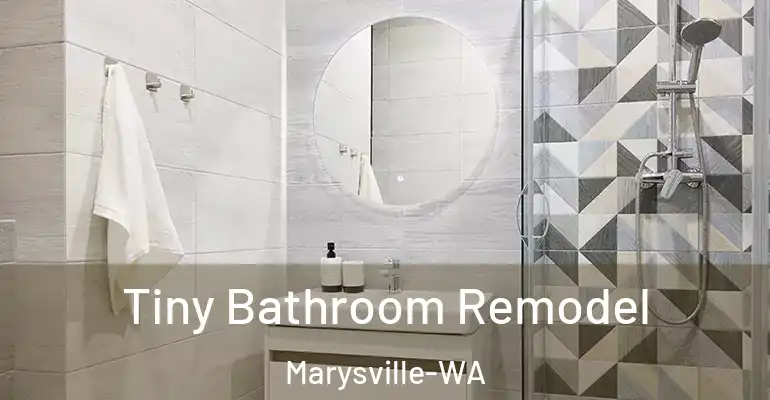 inner Bathroom imggen Tiny Bathroom Remodel Marysville-WA