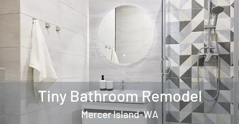 inner Bathroom imggen Tiny Bathroom Remodel Mercer Island-WA