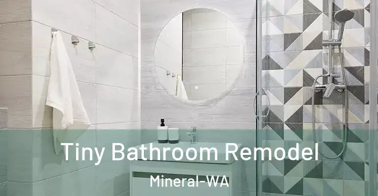 inner Bathroom imggen Tiny Bathroom Remodel Mineral-WA