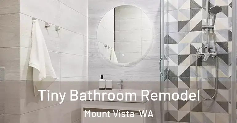 inner Bathroom imggen Tiny Bathroom Remodel Mount Vista-WA