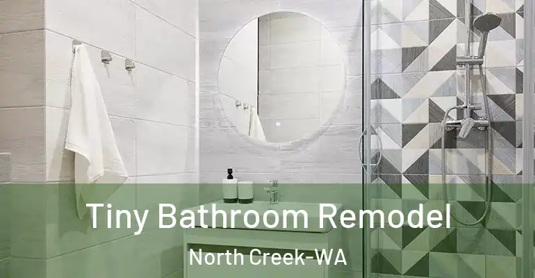 inner Bathroom imggen Tiny Bathroom Remodel North Creek-WA