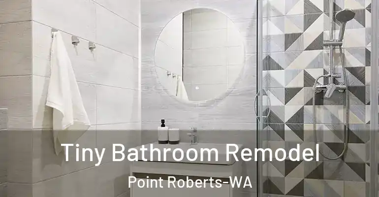 inner Bathroom imggen Tiny Bathroom Remodel Point Roberts-WA
