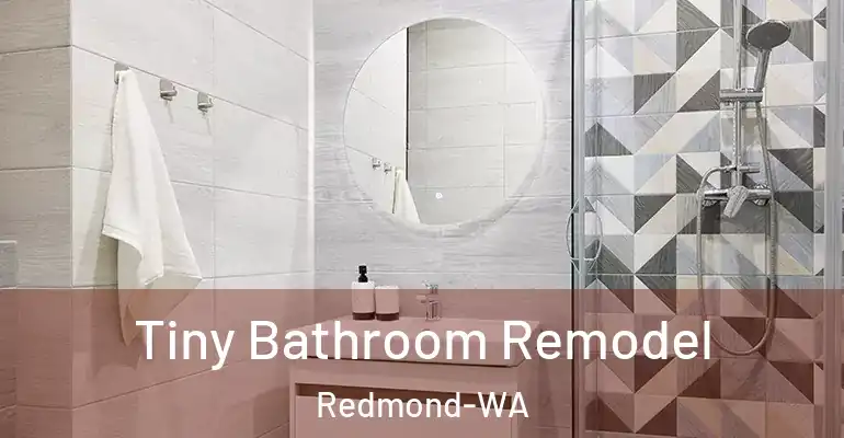 inner Bathroom imggen Tiny Bathroom Remodel Redmond-WA