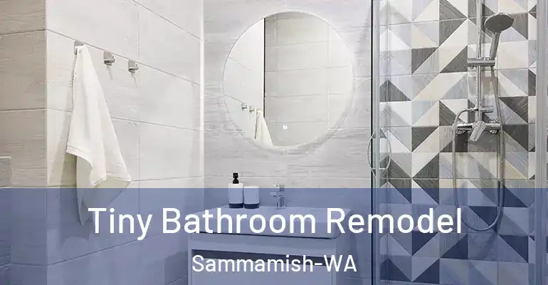 inner Bathroom imggen Tiny Bathroom Remodel Sammamish-WA