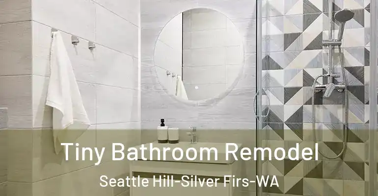 inner Bathroom imggen Tiny Bathroom Remodel Seattle Hill-Silver Firs-WA