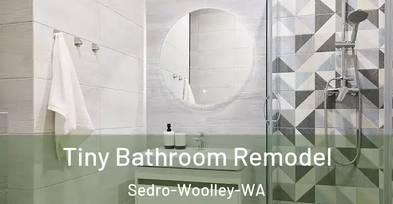 inner Bathroom imggen Tiny Bathroom Remodel Sedro-Woolley-WA