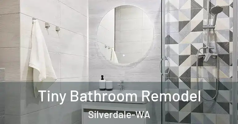 inner Bathroom imggen Tiny Bathroom Remodel Silverdale-WA