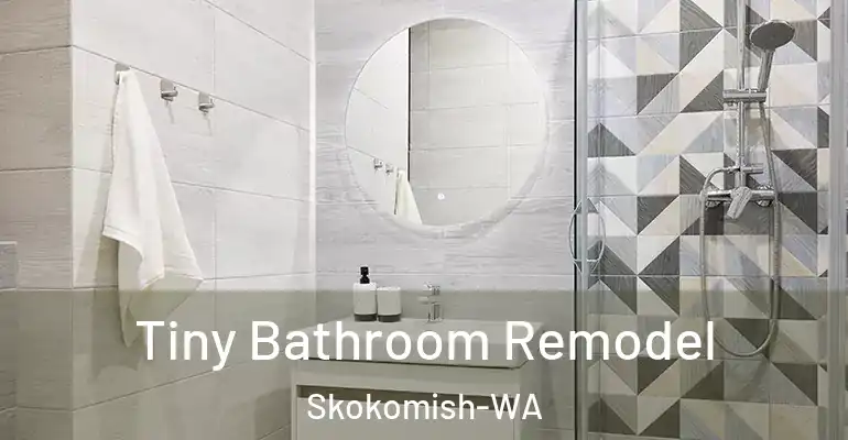 inner Bathroom imggen Tiny Bathroom Remodel Skokomish-WA